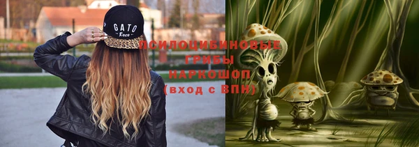 прущие крисы Козловка