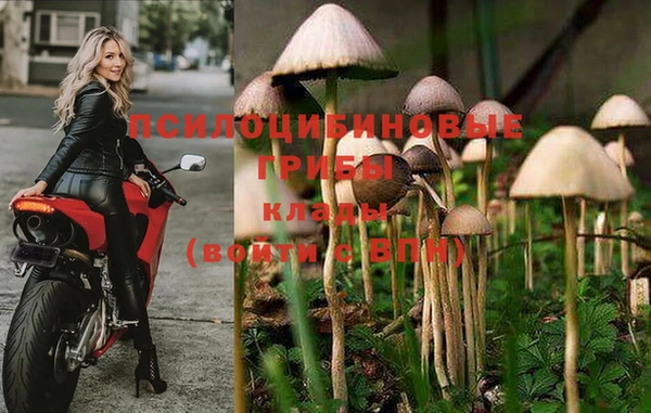 ECSTASY Кинешма