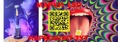 индика Аргун