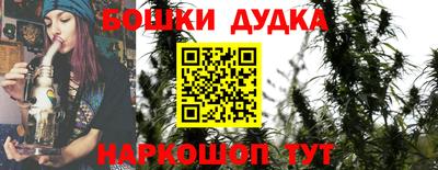 индика Аргун