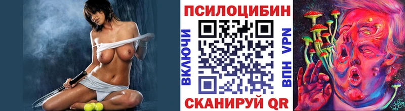 Галлюциногенные грибы Cubensis shop как зайти Ковров хочу