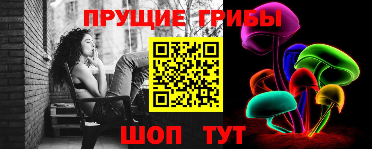 Галлюциногенные грибы Psilocybe Ковров