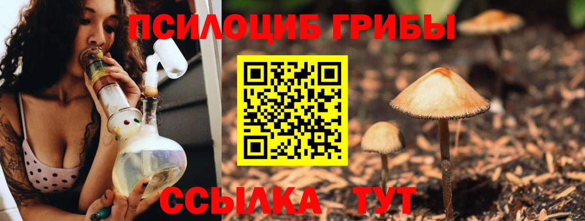 Ковров  Галлюциногенные грибы GOLDEN TEACHER  Вход с VPN 